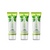 3 pcs Avienne Natural & Herbal Toothpaste